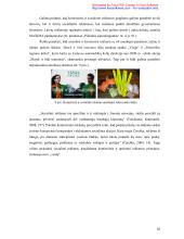 Lietuviškos socialinės reklamos pragmatika ir stilistika  19 puslapis