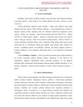 Lietuviškos socialinės reklamos pragmatika ir stilistika  20 puslapis