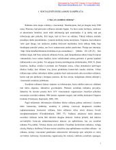 Lietuviškos socialinės reklamos pragmatika ir stilistika  6 puslapis