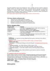 Konspektas "Nervų sistema" 2 puslapis