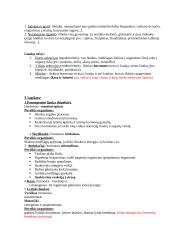 Konspektas "Nervų sistema" 3 puslapis