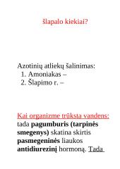 Konspektas "Inkstai" 11 puslapis