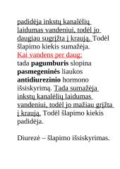 Konspektas "Inkstai" 12 puslapis