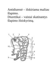 Konspektas "Inkstai" 13 puslapis