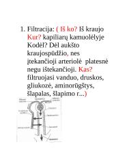Konspektas "Inkstai" 7 puslapis