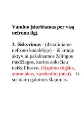 Konspektas "Inkstai" 9 puslapis