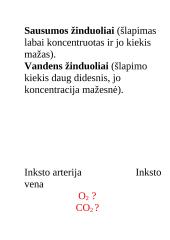 Konspektas "Inkstai" 10 puslapis