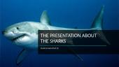 The presentation about the sharks