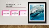The presentation about the sharks 2 puslapis