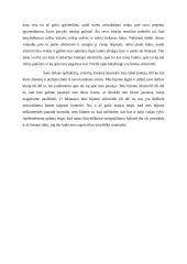 Mano susitikimai su kūryba ir/arba kūrybiškumo apraiškos manyje 3 puslapis