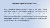 Hipotezė: reikalavimai, formulavimas 10 puslapis