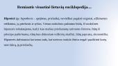 Hipotezė: reikalavimai, formulavimas 4 puslapis