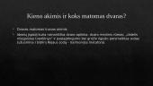 Dvaro vaizdavimas apysakoje 4 puslapis