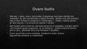 Dvaro vaizdavimas apysakoje 5 puslapis