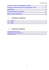 Referatas apie socialinius tinklus 2 puslapis