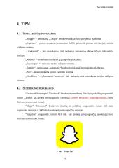 Referatas apie socialinius tinklus 4 puslapis