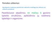 Gyvūnų ląstelės sandara 2 puslapis