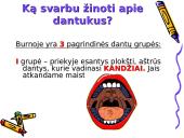 Asmens higiena ir sveiki dantukai 2 puslapis