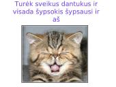 Asmens higiena ir sveiki dantukai 17 puslapis