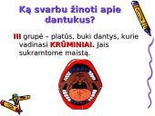 Asmens higiena ir sveiki dantukai 4 puslapis