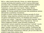 Frankų valstybė V- IX a. 11 puslapis