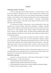 Viešosios maitinimo įstaigos „N“ strateginis marketingo planavimas 6 puslapis