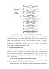 Viešosios maitinimo įstaigos „N“ strateginis marketingo planavimas 14 puslapis