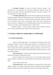 Grupinio darbo organizavimas ir personalo valdymas 17 puslapis