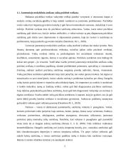 Psichikos sveikatos užtikrinimo aspektai jaunesniajame mokykliniame amžiuje 4 puslapis