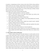 Psichikos sveikatos užtikrinimo aspektai jaunesniajame mokykliniame amžiuje 6 puslapis