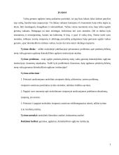 Mokslinio straipsnio analizė. Penkerių-šešerių metų vaikų gerumo ugdymas ikimokyklinio ugdymo institucijoje 2 puslapis