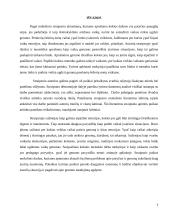 Mokslinio straipsnio analizė. Penkerių-šešerių metų vaikų gerumo ugdymas ikimokyklinio ugdymo institucijoje 5 puslapis