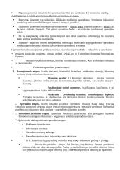 Kognityvinė psichologija (mąstymas) 2 puslapis