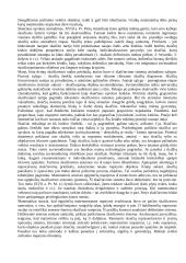 Kognityvinė psichologija (mąstymas) 11 puslapis