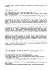 Kognityvinė psichologija (mąstymas) 12 puslapis
