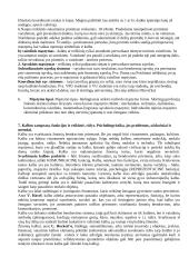 Kognityvinė psichologija (mąstymas) 13 puslapis