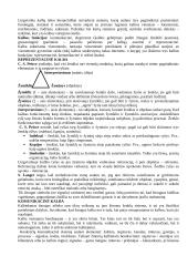 Kognityvinė psichologija (mąstymas) 14 puslapis