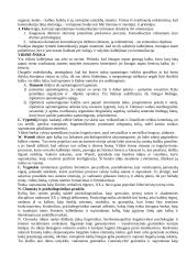 Kognityvinė psichologija (mąstymas) 15 puslapis