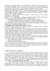 Kognityvinė psichologija (mąstymas) 16 puslapis