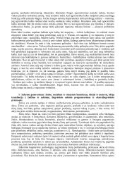 Kognityvinė psichologija (mąstymas) 19 puslapis
