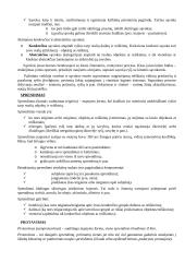 Kognityvinė psichologija (mąstymas) 4 puslapis