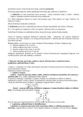 Kognityvinė psichologija (mąstymas) 5 puslapis