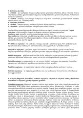 Kognityvinė psichologija (mąstymas) 7 puslapis