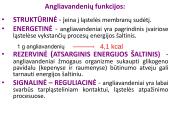 Angliavandeniai sportininkų mityboje 12 puslapis