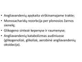 Angliavandeniai sportininkų mityboje 14 puslapis