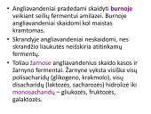Angliavandeniai sportininkų mityboje 19 puslapis