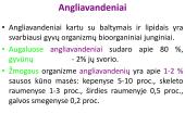 Angliavandeniai sportininkų mityboje 4 puslapis