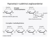 Angliavandeniai sportininkų mityboje 5 puslapis
