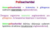 Angliavandeniai sportininkų mityboje 9 puslapis