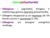 Angliavandeniai sportininkų mityboje 10 puslapis